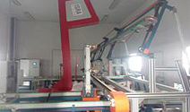 ISRA Optical Inspection